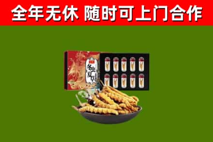 赣州回收冬虫夏草价格